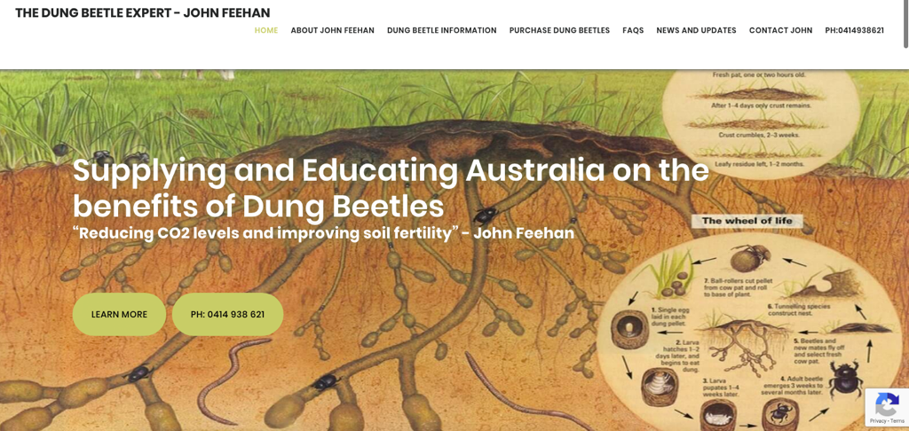 Image of The Dung Beetle Expert website