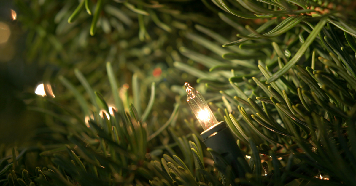 Christmas light on a Christmas tree